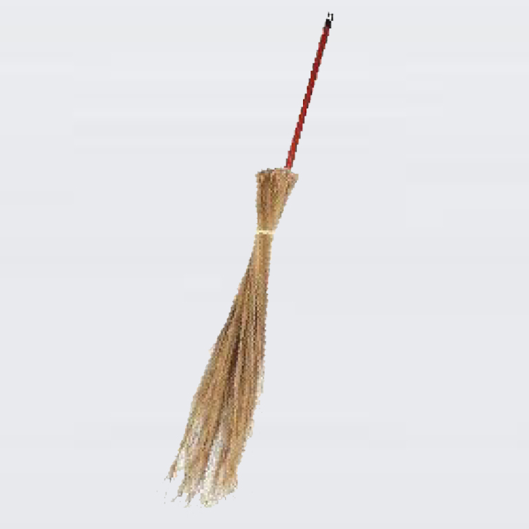 Bandaraya-Lidi-Broom