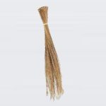 Lidi Broom
